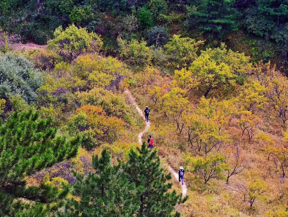 mmexport1758502249216