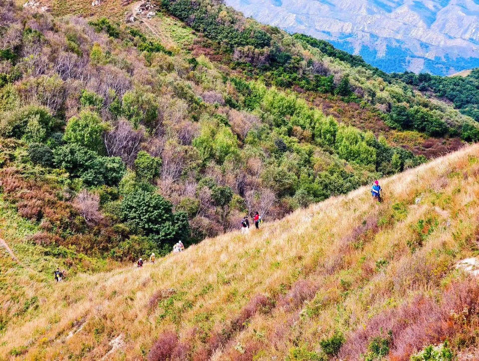 mmexport1758502261274