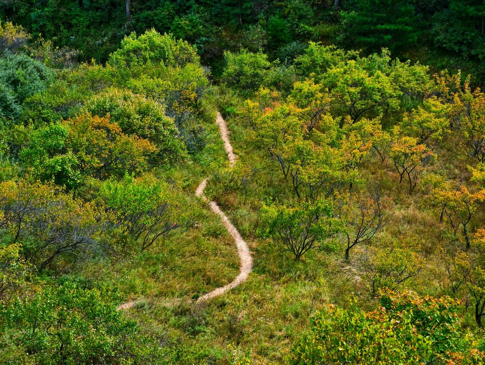 mmexport1758509471518