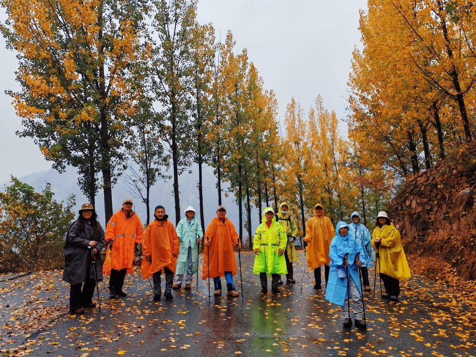 MEITU_20251107_155503627