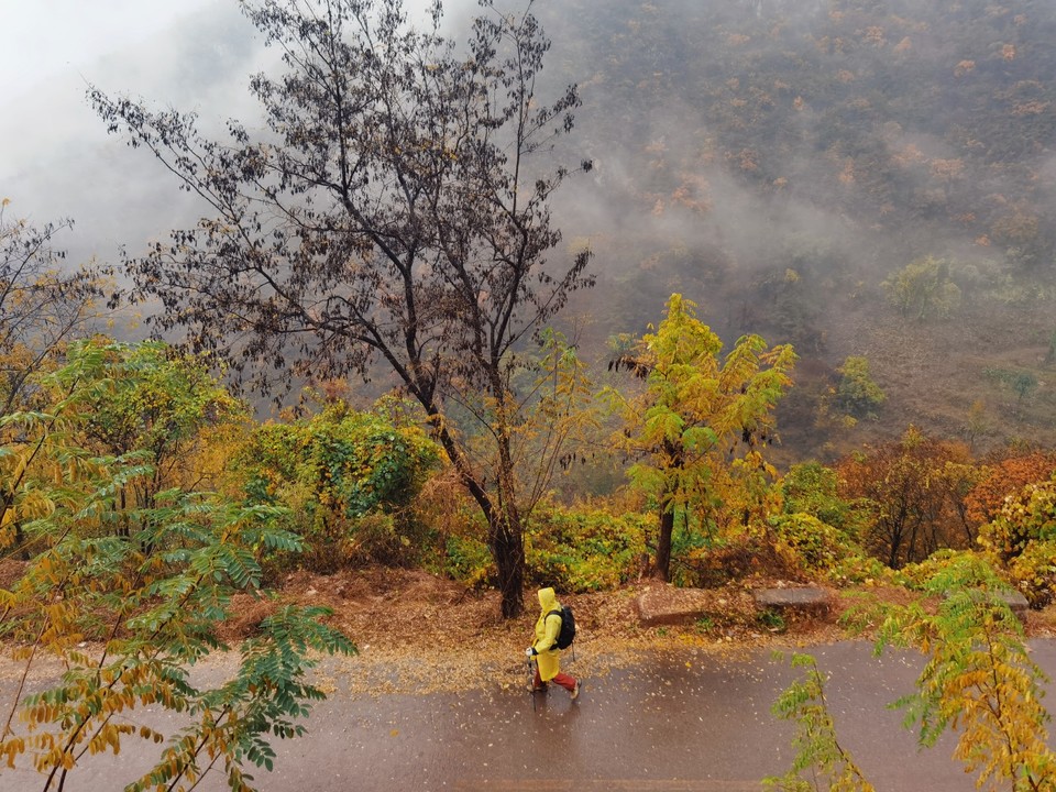 MEITU_20251107_152436510