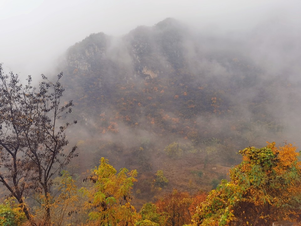 MEITU_20251107_152521244