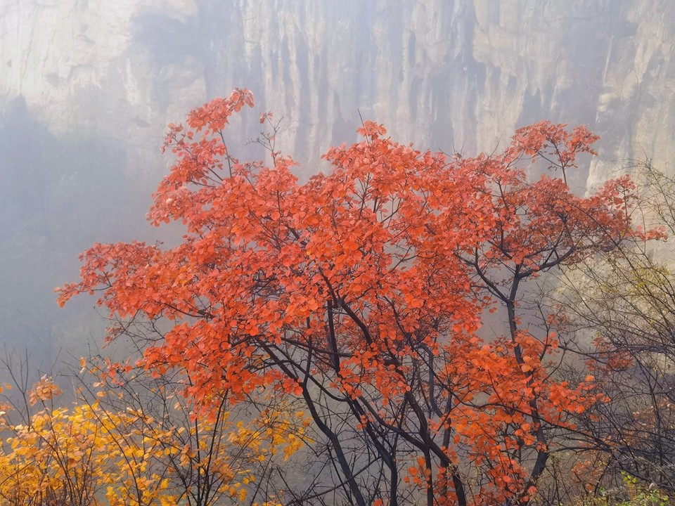 MEITU_20251107_152618342