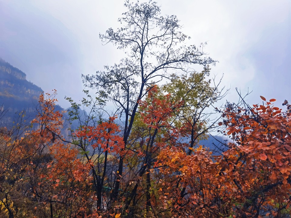 MEITU_20251107_152324653