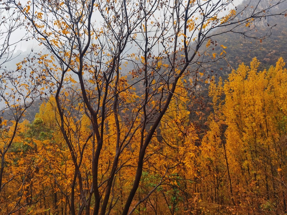 MEITU_20251107_152050840