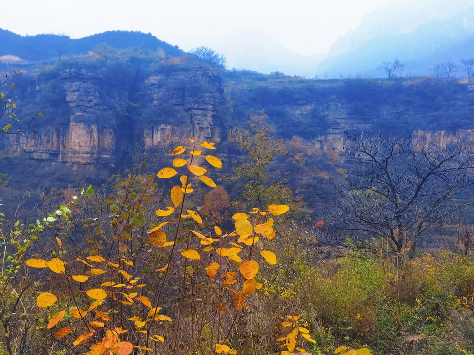 MEITU_20251106_172956660