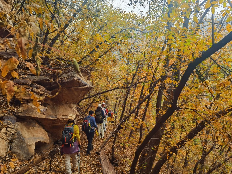 MEITU_20251106_172905398