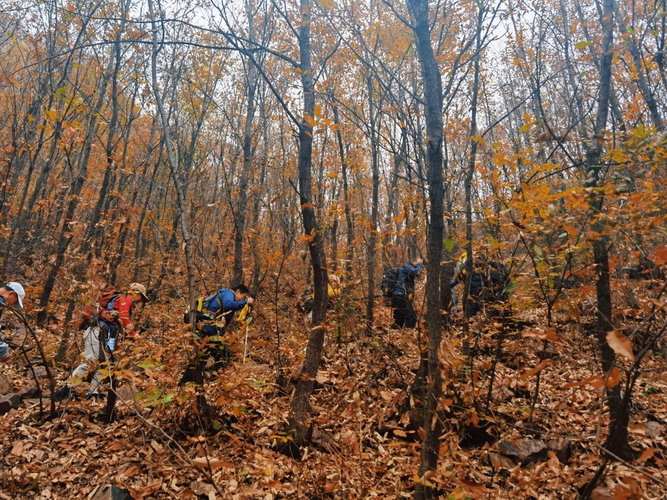 MEITU_20251106_170245334