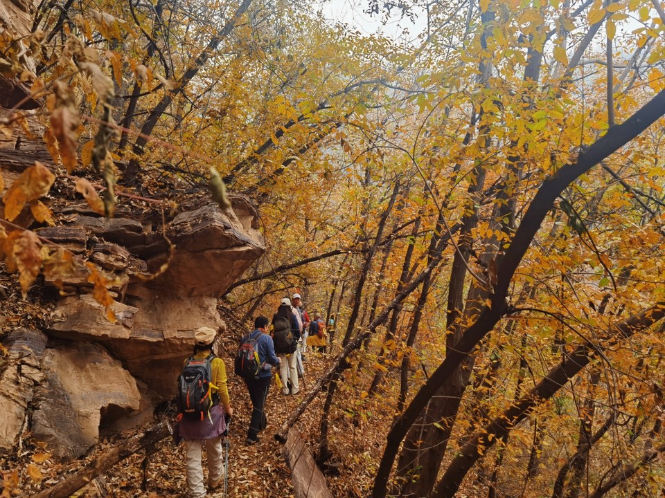 MEITU_20251106_170340924