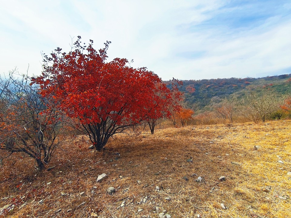 MEITU_20251116_172916309