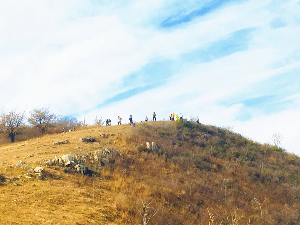 MEITU_20251116_173045696