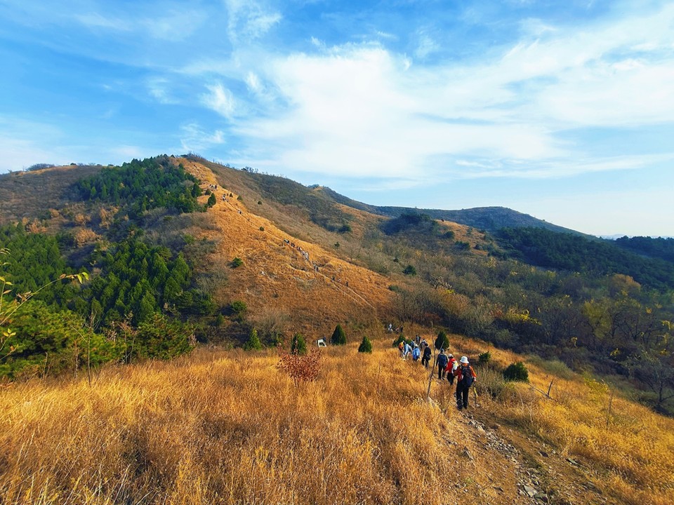 MEITU_20251116_173225437