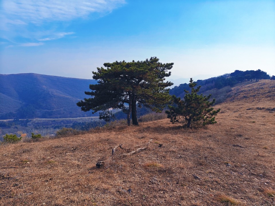 MEITU_20251116_173245640