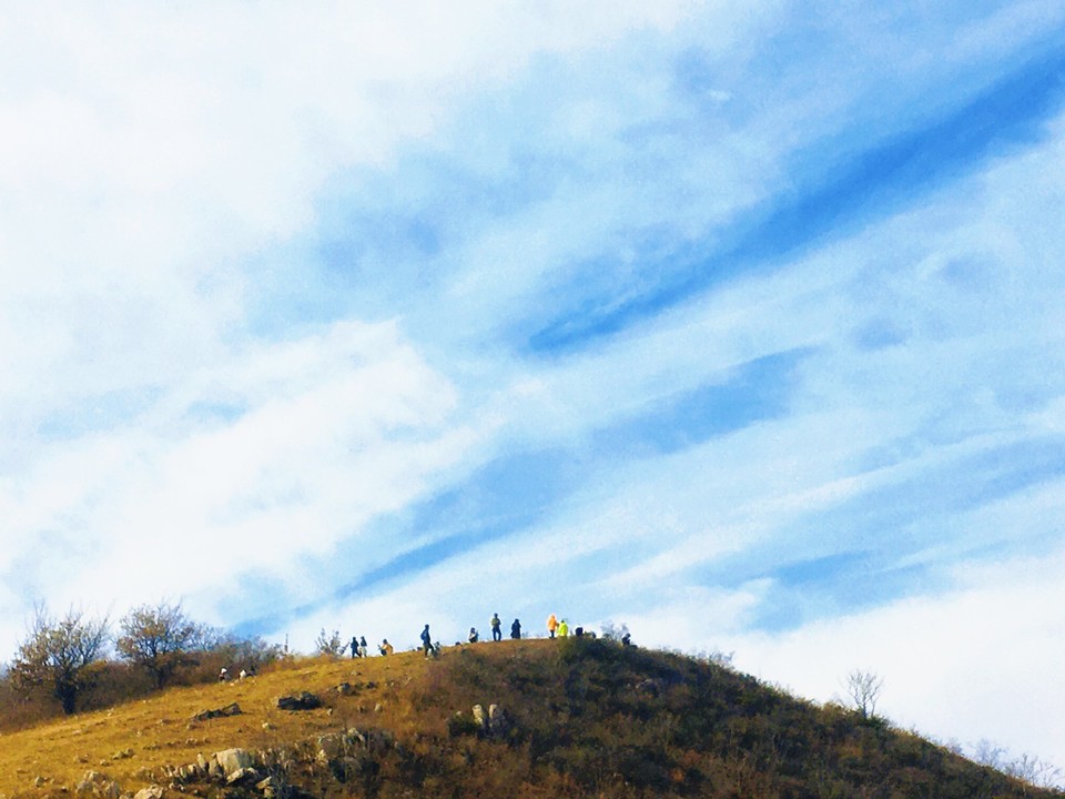 MEITU_20251116_173019370