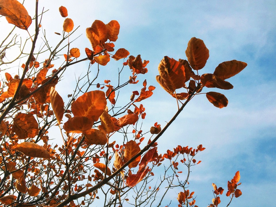 MEITU_20251116_172946957