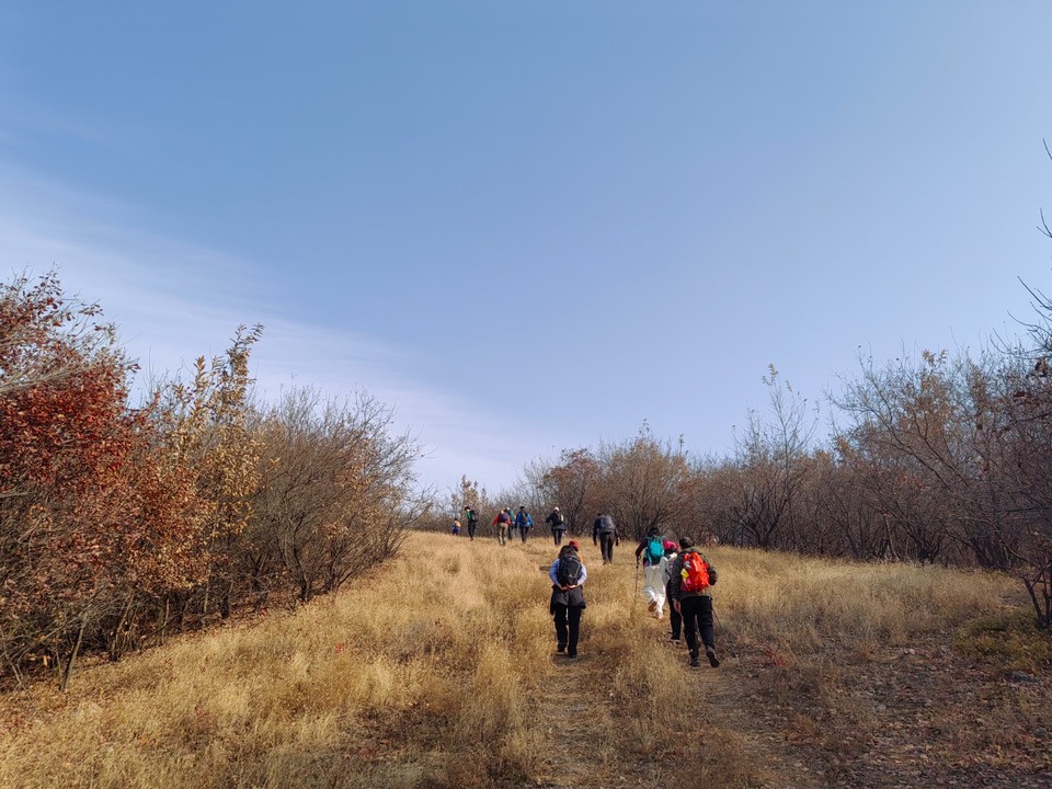 mmexport1763284902377