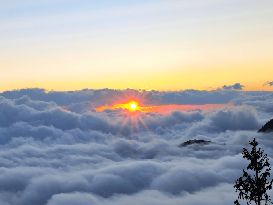 mmexport1764817212018