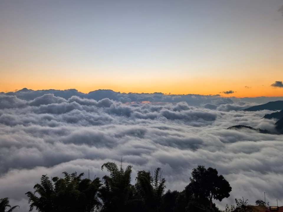 mmexport1764817241296