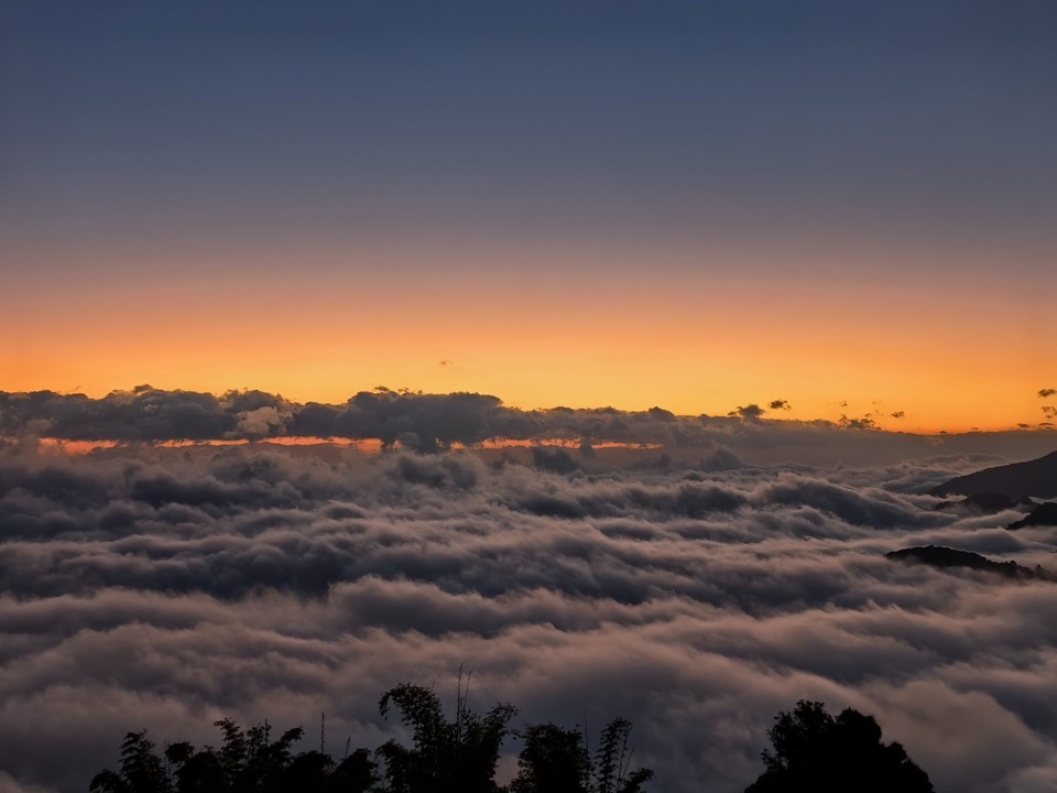 mmexport1764817279474