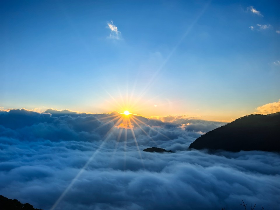 mmexport1764817305996