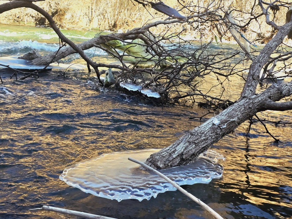 mmexport1765154752455