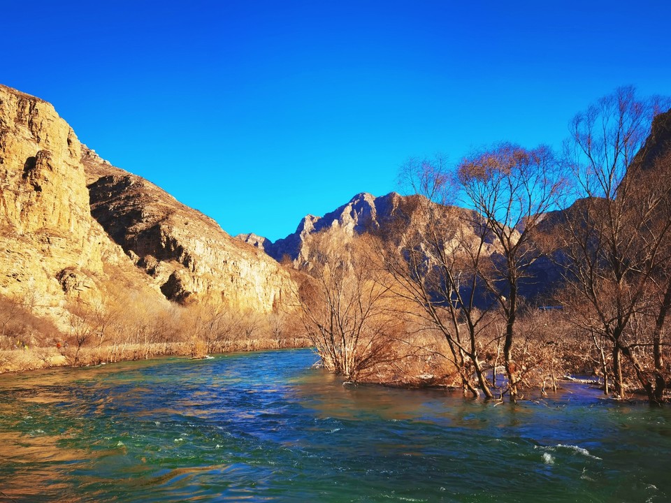 MEITU_20251208_085250459