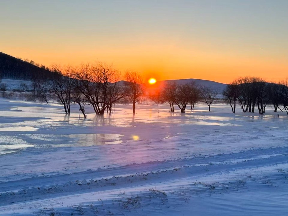 mmexport1767265249201