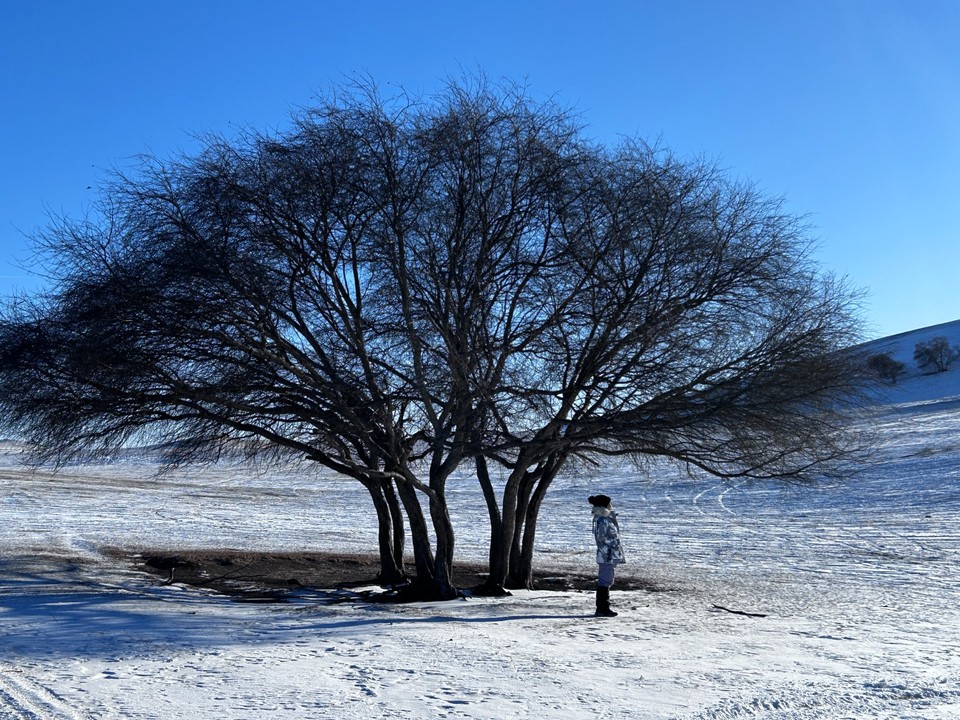 mmexport1767444033211