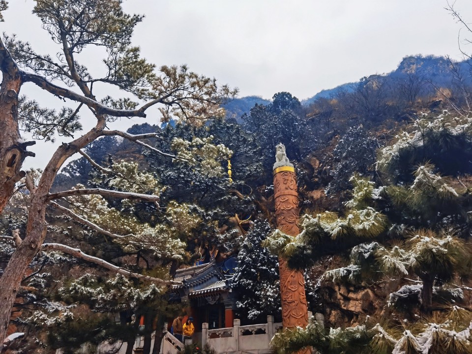 MEITU_20260301_164025762