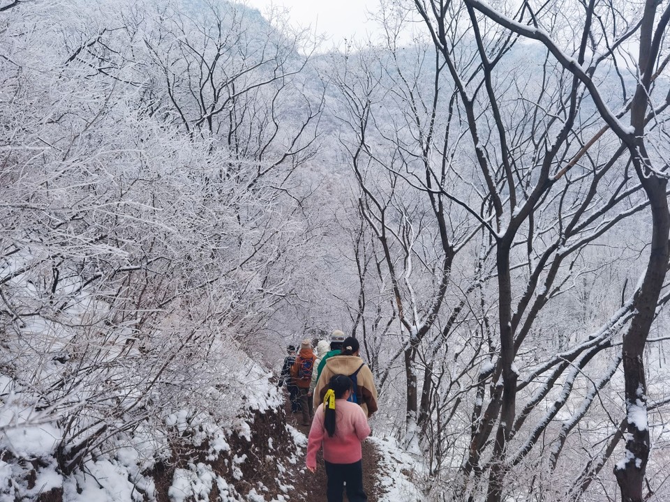 MEITU_20260301_164326063