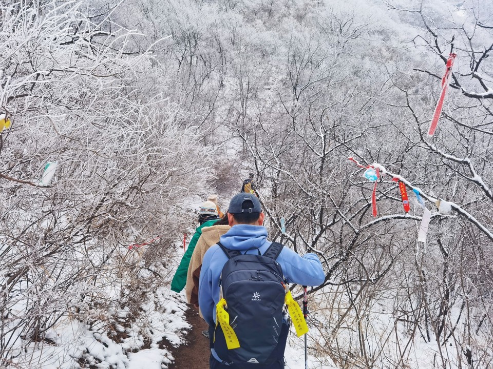 MEITU_20260301_164348932