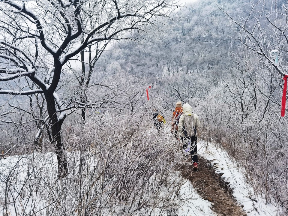 MEITU_20260301_164425092