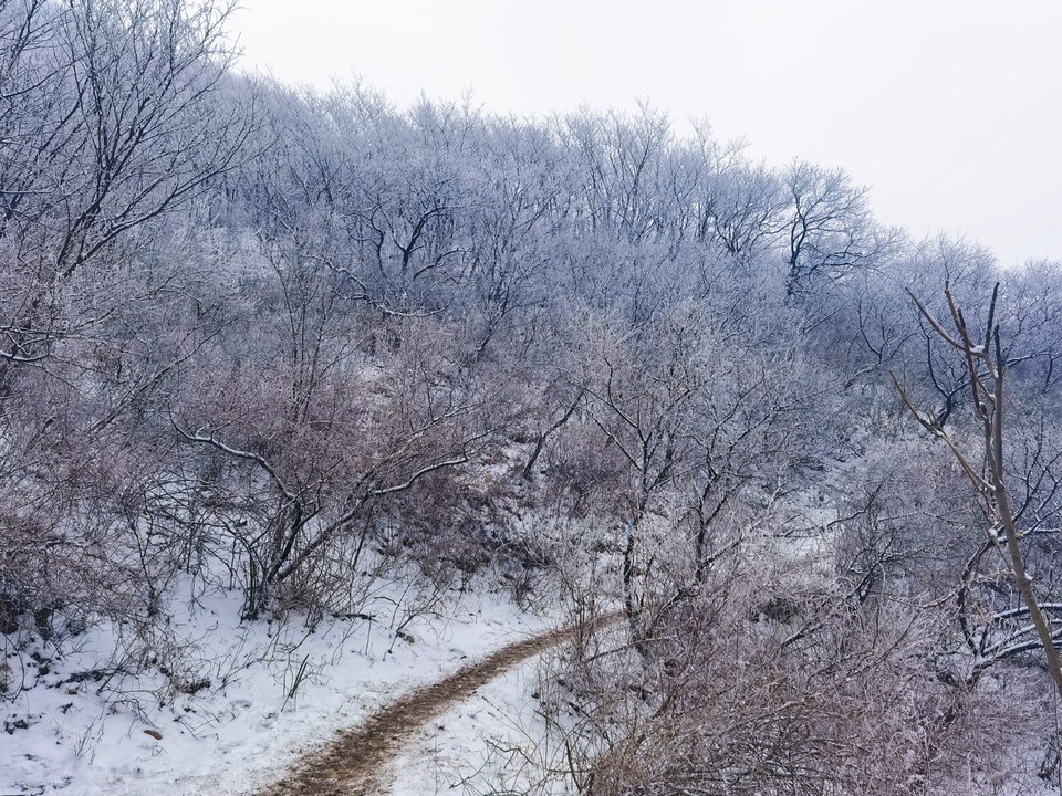 MEITU_20260301_164658534