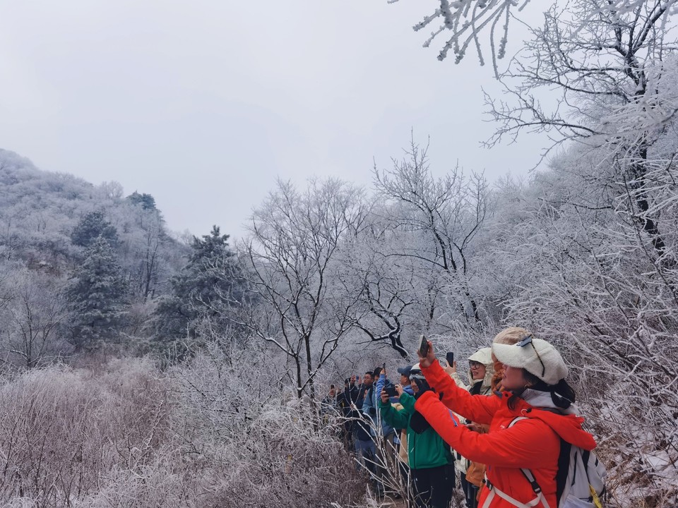 MEITU_20260301_164729595