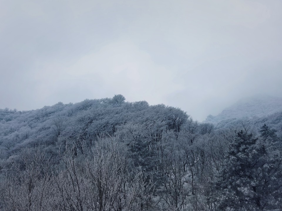 MEITU_20260301_164833446