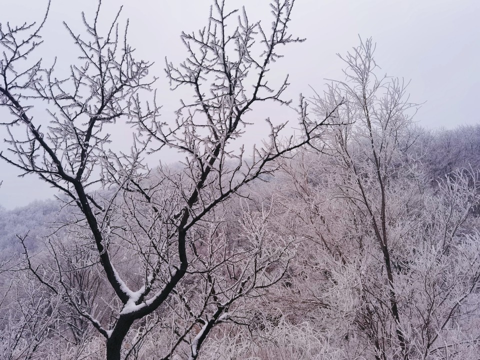 MEITU_20260301_164952108