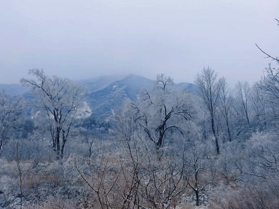 MEITU_20260301_165100527