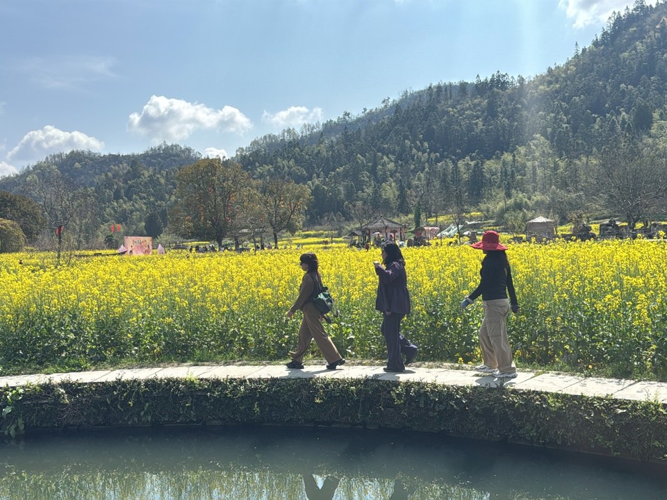 mmexport1774755207247_edit_23753665321373