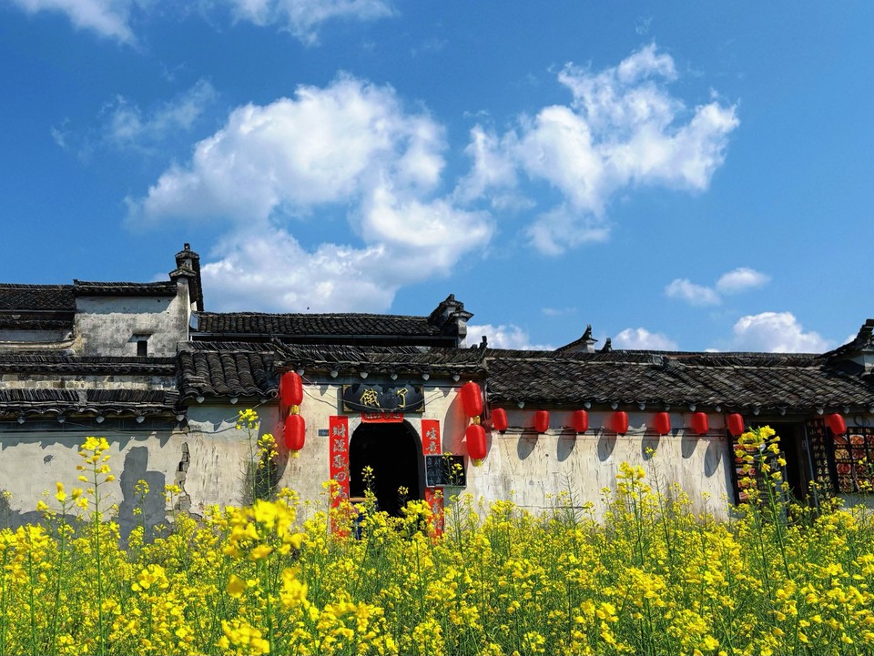 mmexport1774754659740_edit_23253811731866