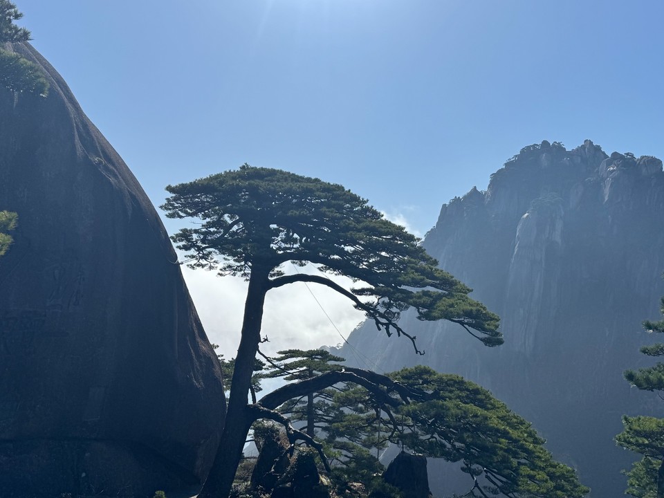 mmexport1774708649594