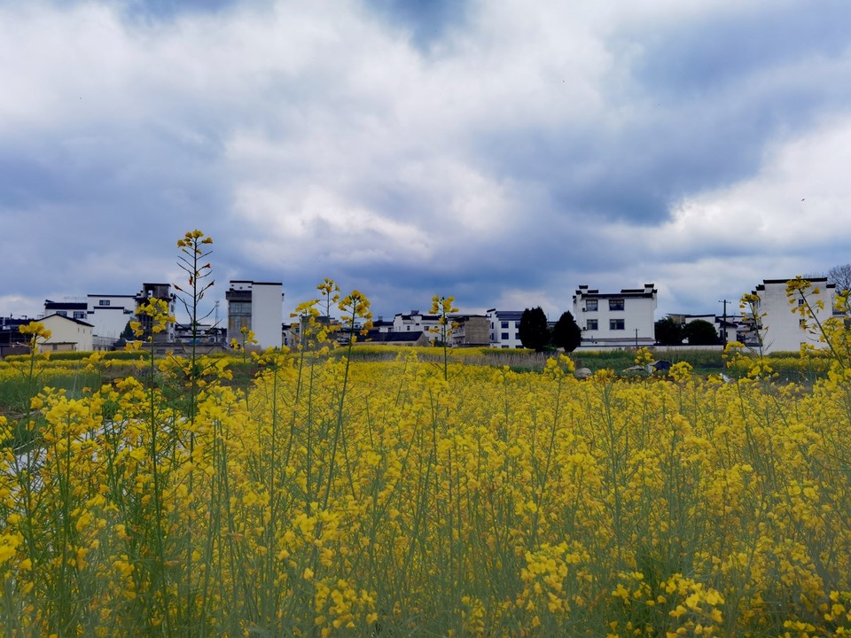 IMG_20260327_110215_edit_115899487231271