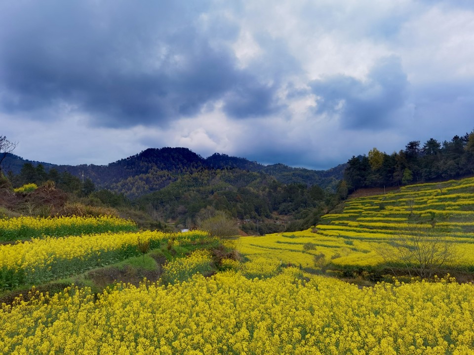 IMG_20260327_131920_edit_115778646598998