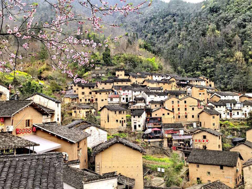 mmexport1774512702338_edit_49067809650844