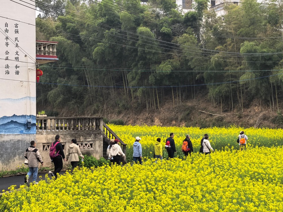 mmexport1774512655730