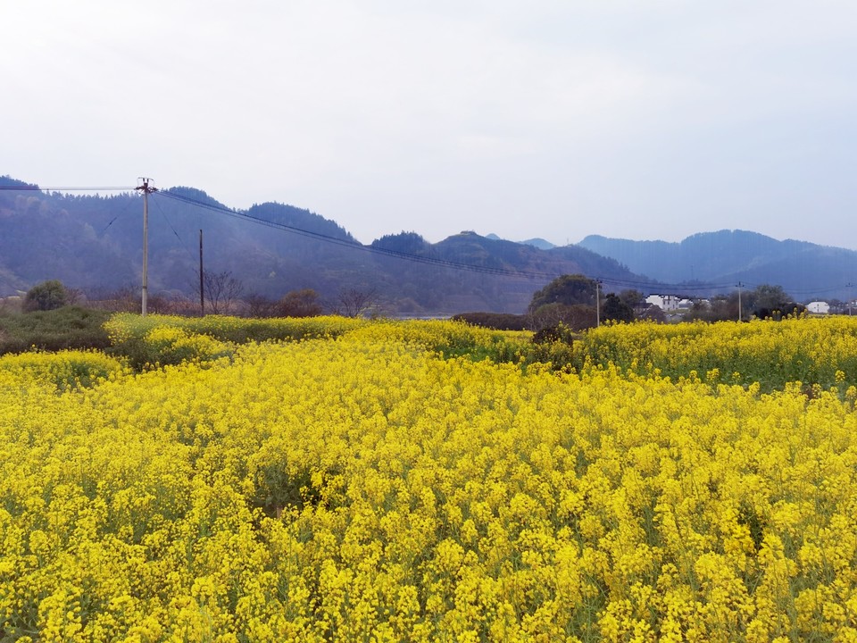 IMG_20260326_104527_edit_47779087768748