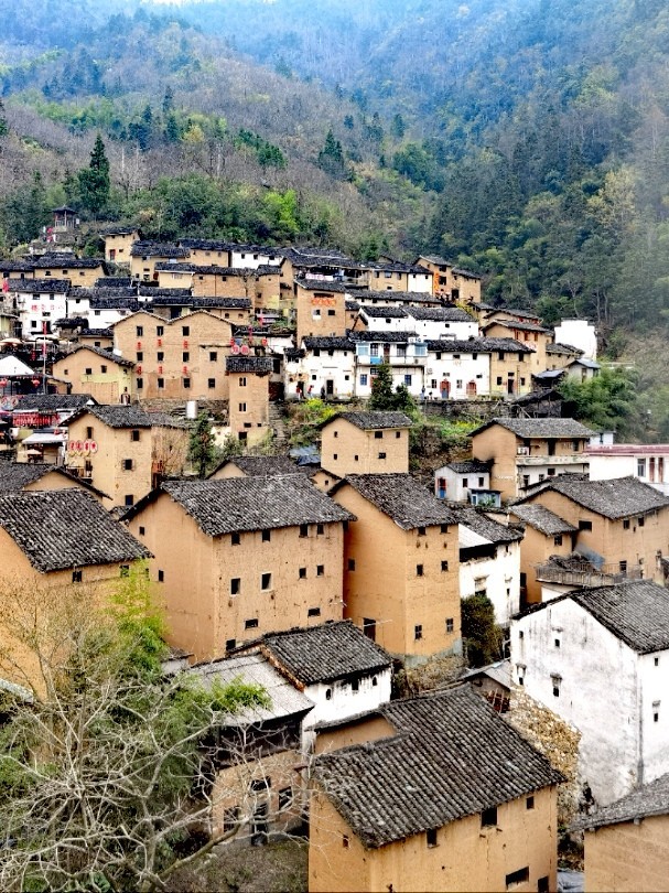 mmexport1774506164658_edit_47332777162567