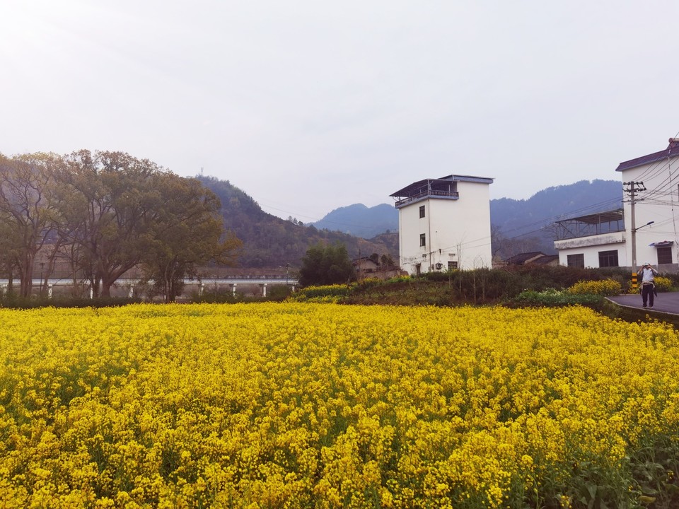 IMG_20260326_101333_edit_47896821722897