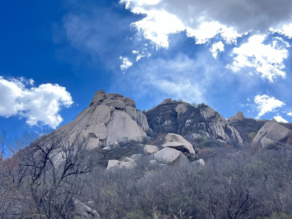 mmexport1775441252867_edit_351641134076028