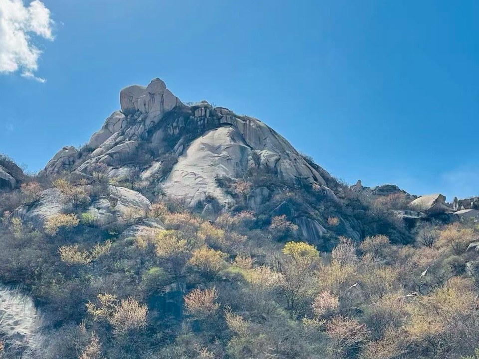 IMG_20260406_101516_edit_351600883681764