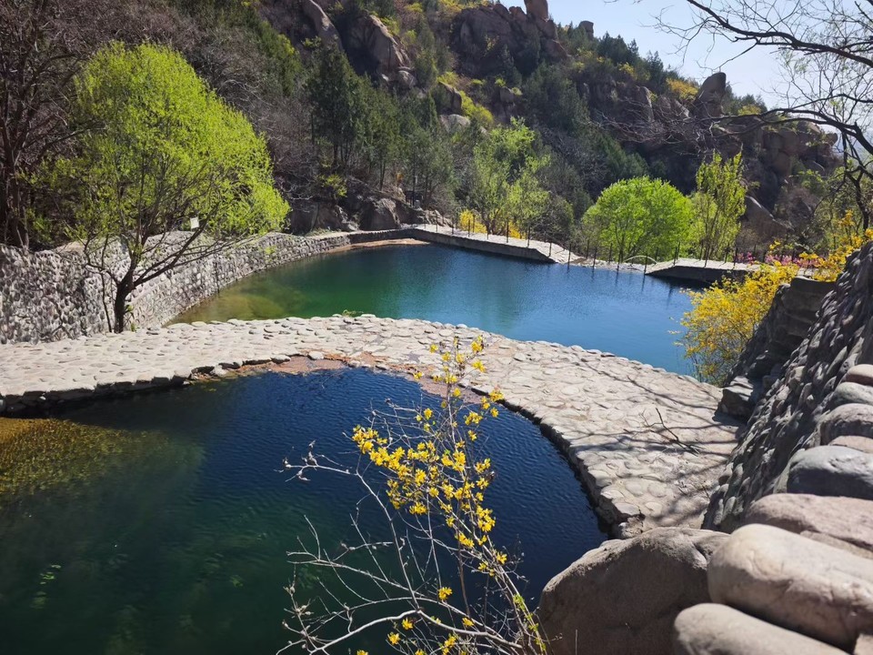 mmexport1775457881650